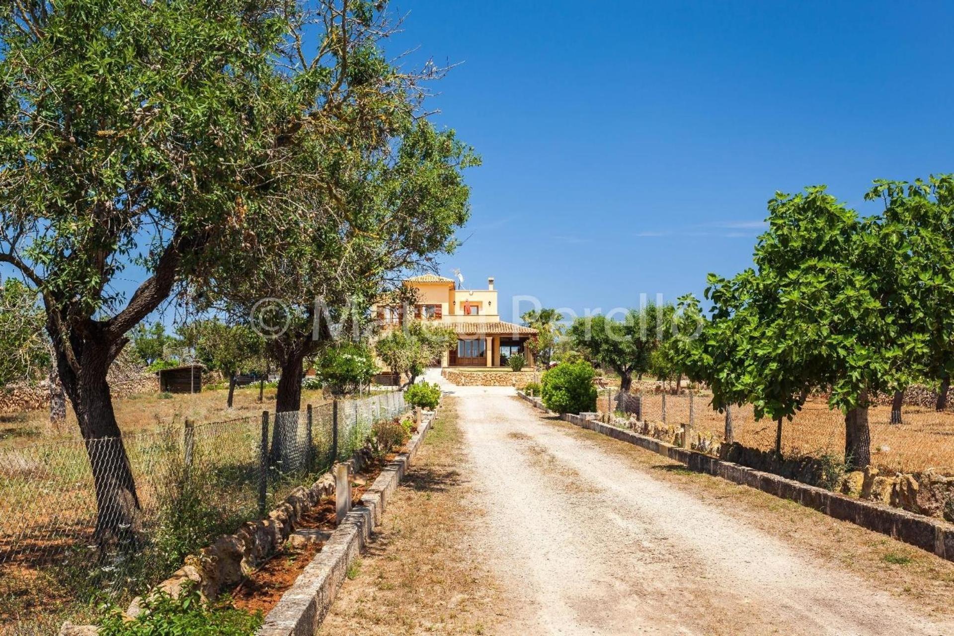 Santa Eulalia In Picafort Mit Privater Terrasse Ferienhaus Santa Margalida